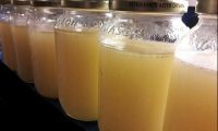 Homemade Broth and Better Broth Concentrate