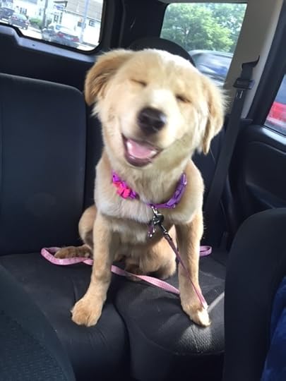 Tessa smiling on ride.JPG