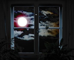 moon-window