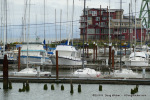 Astoria Marina
