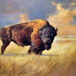 01914201205070347558896