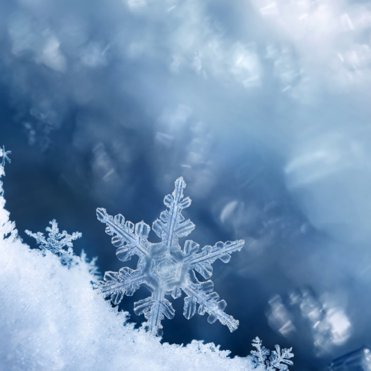 Digital composite of snowflakes and frost.
