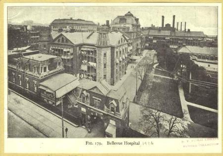 miserylanebellevuenypl1906