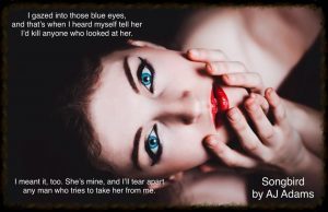 teaser-for-songbird-by-aj-adams-3