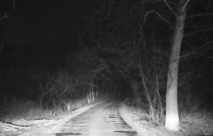 driving-dark