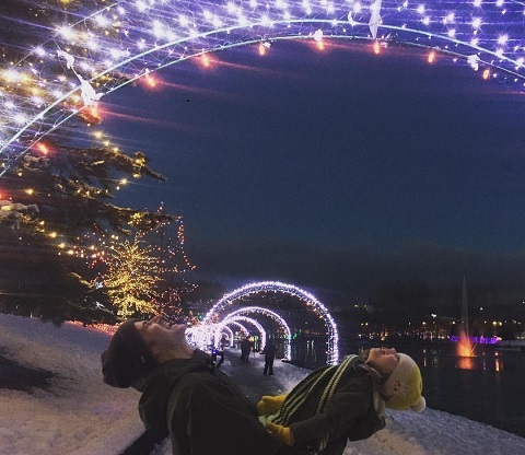 Photo: Twelve ways to green your holidays