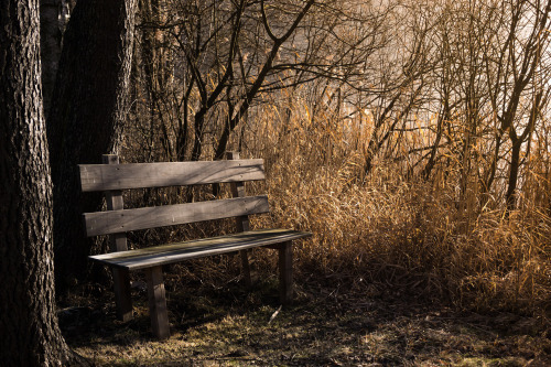 bench-1190768_1920