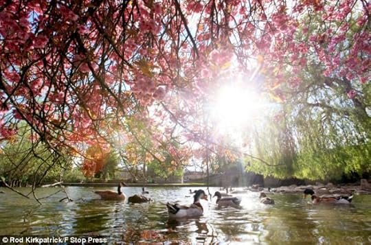 Photo of the Remarkables mountain range in Queenstown, New Zealand.