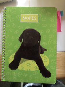 puppy notebook
