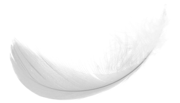 feather
