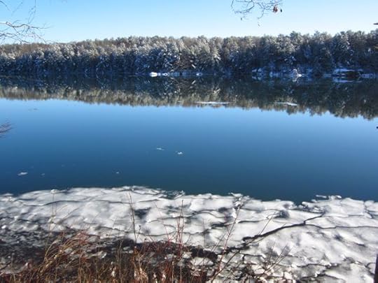 Love my cove at high tide.