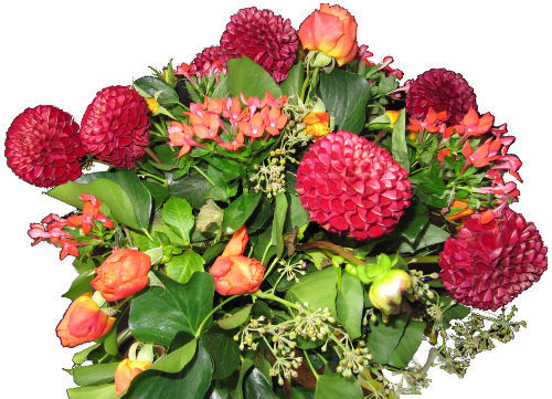 flowers