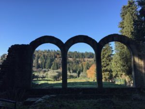 img_2432