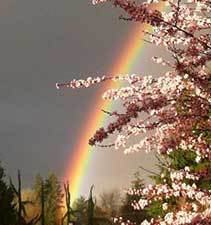 The Sour Taste of Suspicion book cover CeeCee James