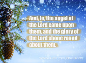 christmas-background-2500-lo-and-behold-2