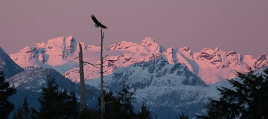 20151229-2z6a5864