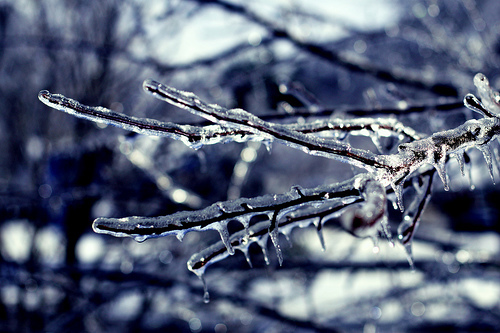 Photo by Lina, via Flickr