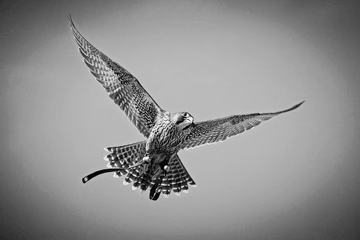  photo 1085d5cc-1aaf-4c61-b9fc-24f5c1fed927_zps25bhlmkr.jpg