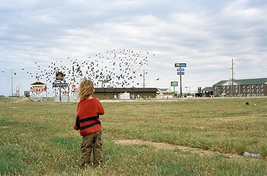 Justine Kurland, Untitled (Birds), 2008 Courtesy the artist 