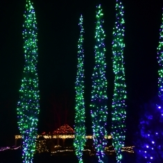 gardens-aglow4