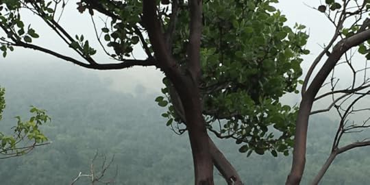 Indie Author Weekly Updates