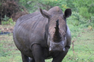 The creatures we encountered grouped me in with all other humans. Nothing special about me.