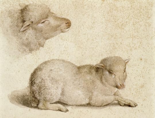 Drawings by Hans Holbein the Younger