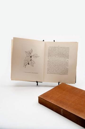 a-papermaking-pilgrimage-to-japan-korea-and-china-2