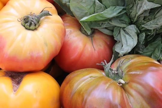 While thinking of heirlooms, don't forget the heirloom tomato (the American name of the vegetable). It is called heritage tomato in Great Britain. The main description on the Internet praises it's (sic) valuable characteristics.