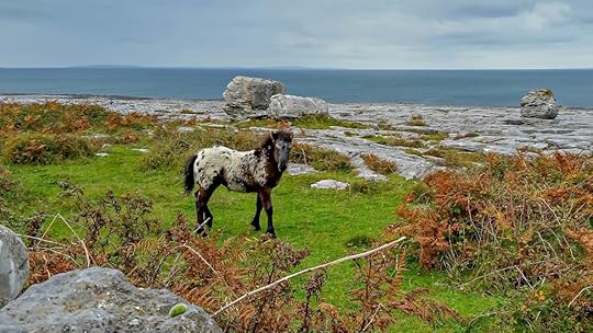 The 411 on County Clare with Kids