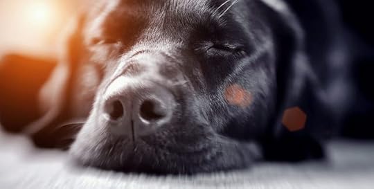 defeat lethargy, gain momentum