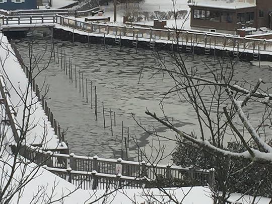 ice on the boat basin