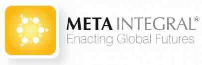 metaintegral-foundation_logo_300dpi-4