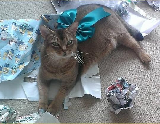 Christmas in my house also includes helpful cats. Like Cinnamon here. (Picture: mine)