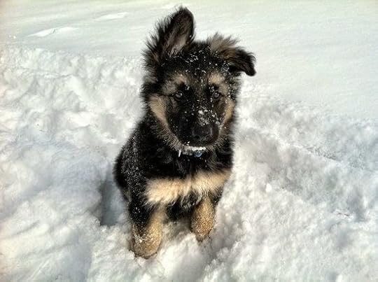 Joy to the world :): 