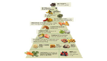 drweil.com