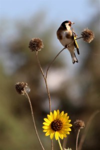 img_4644