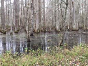 img_8907