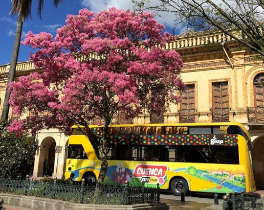 Tree full of blooms