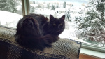 Black Cleo, white snow