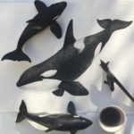 14207762_1183638928376637_9169959224929559203_o