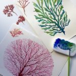 13173846_1086366288103902_9075478196773018309_n