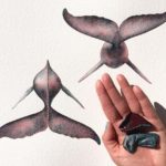 14238323_1187942811279582_5115615476921364579_n