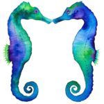 14720521_1232970923443437_5023735071059161841_n