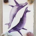 14702473_1231837613556768_3640884758151069999_n