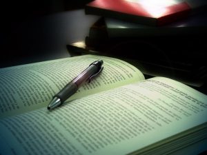 book by Ricardo Vasquez/freeimages.com