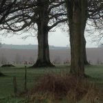 ashdown