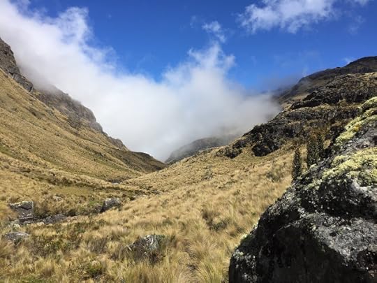 Fog rolls in high in the Cajas