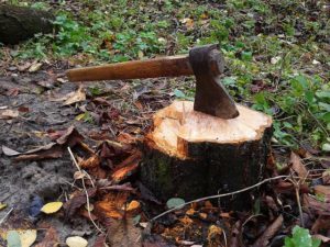 “Axe” vs. “Ax”