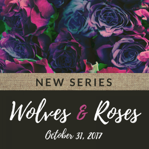 cover-reveal
